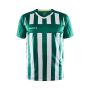 Craft Progress 2.0 Stripe Jersey til mænd - Team Green/White