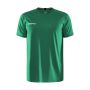 Craft Progress Indoor Jersey til mænd - Team Green
