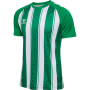 Hummel Match Striped Spilletrøje til voksne - Grøn/Hvid
