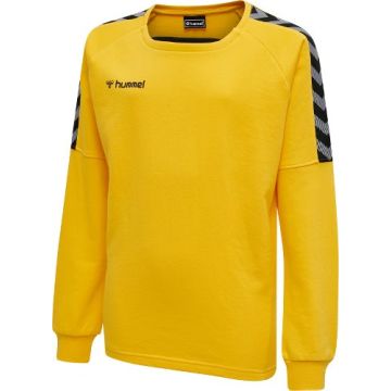 Hummel AUTHENTIC training sweat til børn