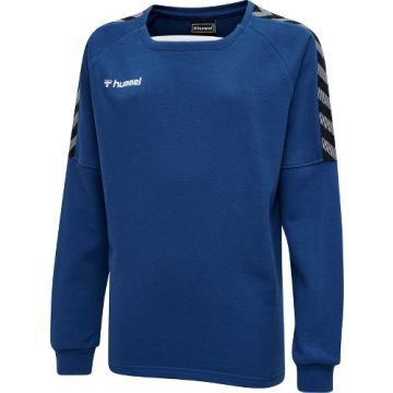 Hummel AUTHENTIC training sweat til børn