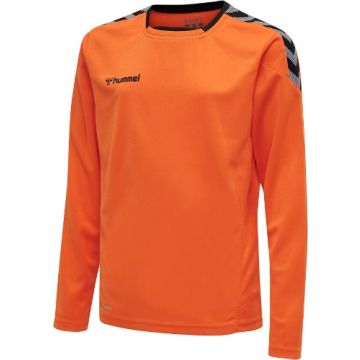 Hummel AUTHENTIC POLY JERSEY langærmet spilletrøje til børn
