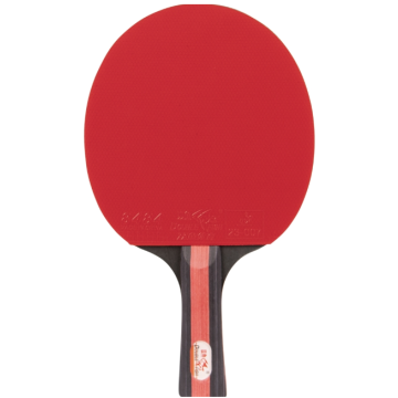Double Fish Bordtennisbat - CK-205